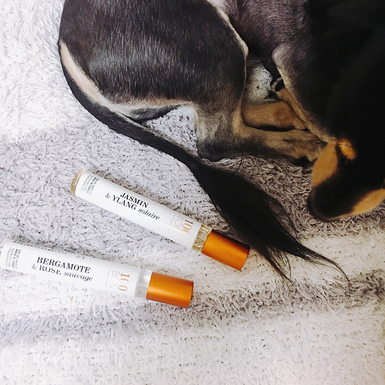 o1600160014249233574