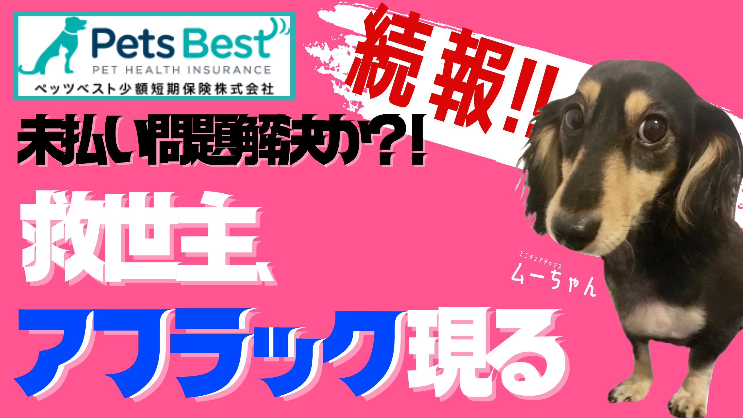 487EB6B2-2CCA-43AE-8B33-1EAC985220EF