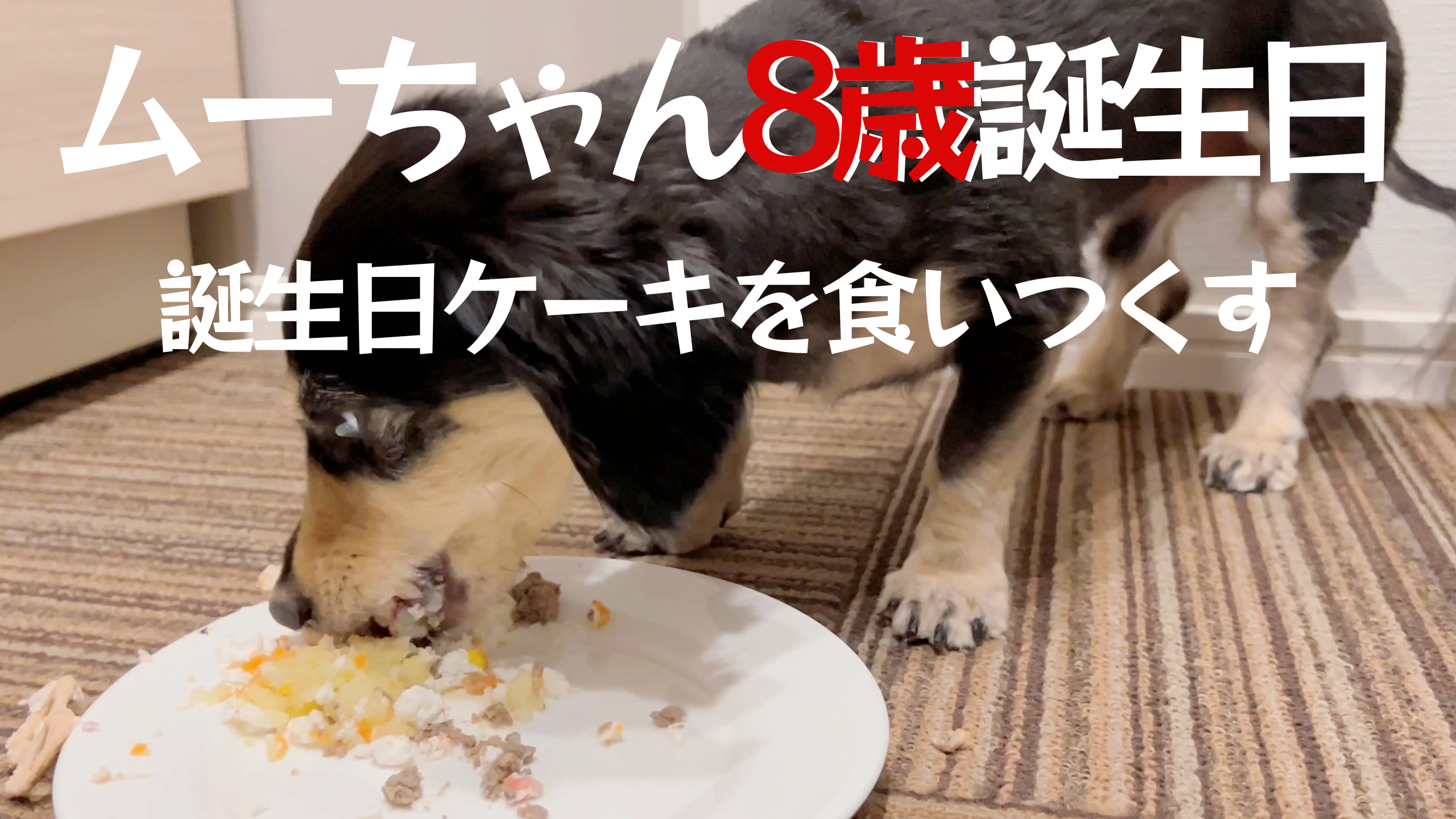 E973F987-2F8F-44D7-9850-F77C5553C3DB