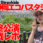 【dominATE WorldTour】20250518静岡エコパスタジアム公演最終日参戦レポ【Straykids】