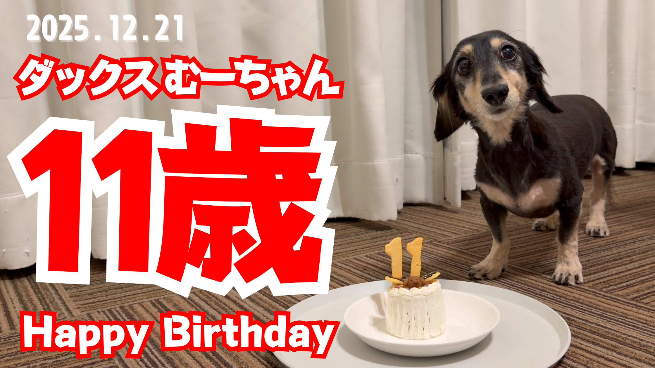 サムネ