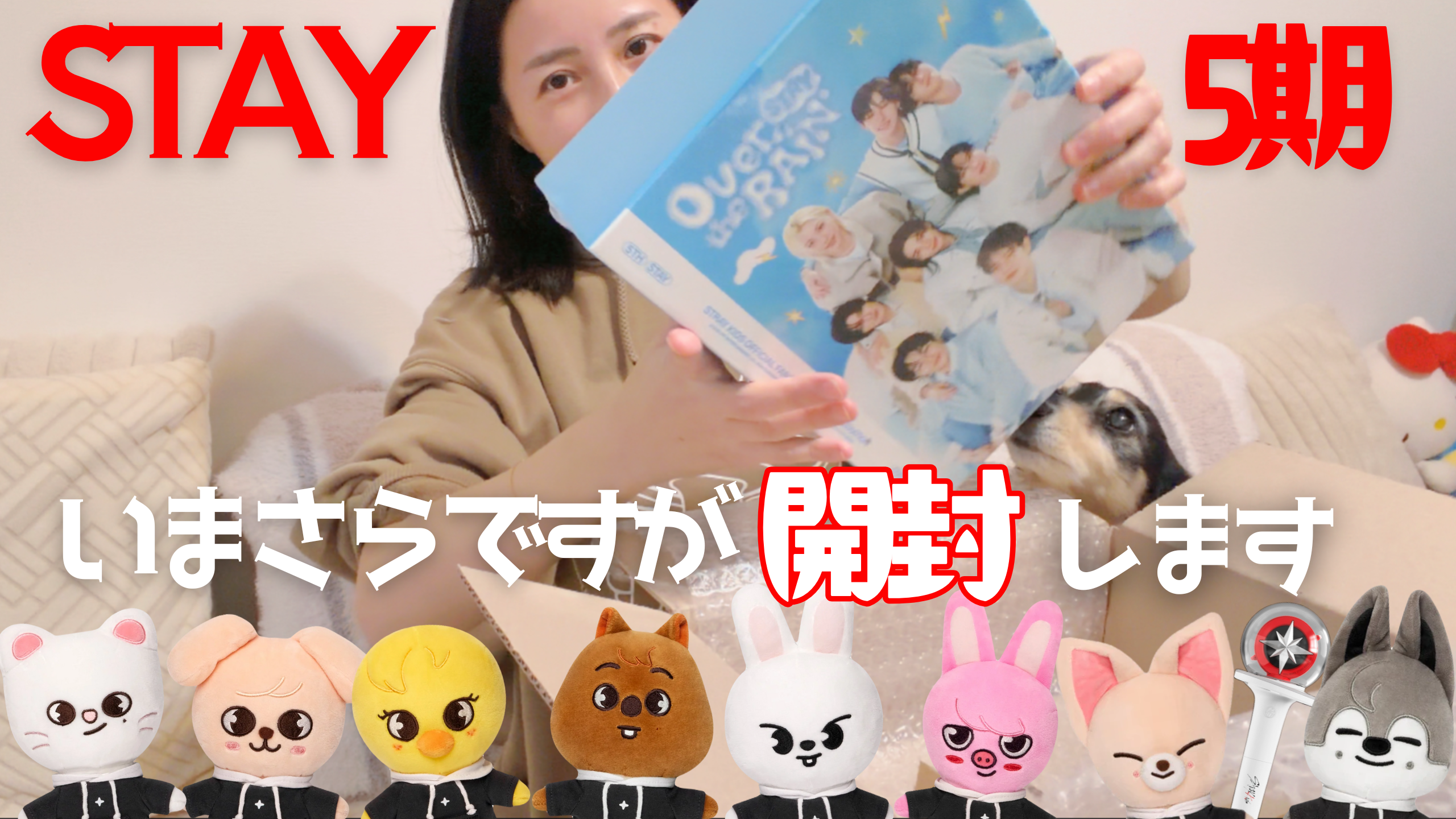 3のコピーのコピーのコピー